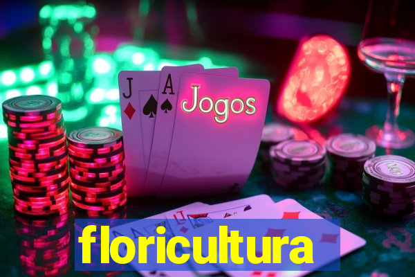 floricultura juazeiro bahia